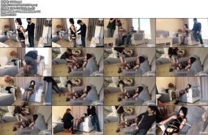 [半岛束艺] 小蛇已被带跑偏by海语久违的魔性笑-丝依依