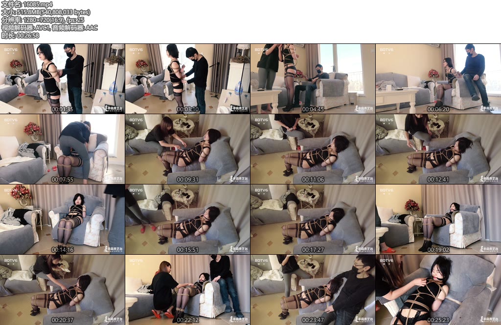 [半岛束艺] 小蛇已被带跑偏by海语久违的魔性笑-丝依依