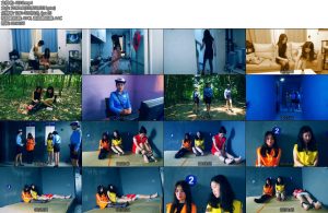 [胜景影视] 新片红颜薄命上集-丝依依