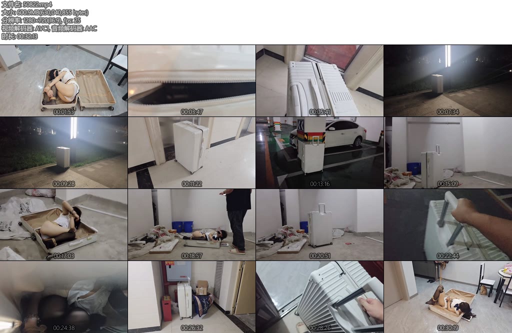 [欢乐谷] 行李箱漂流记-丝依依