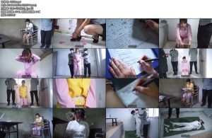 [结绳而治] 王心梅伏法记-丝依依