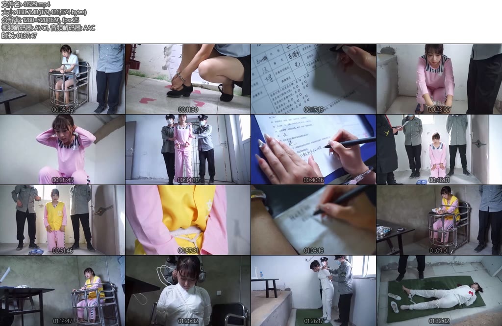 [结绳而治] 王心梅伏法记-丝依依