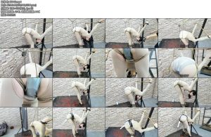 [飞天原创] 今天要玩爽艺仙儿反手拘束架禁锢夹乳电动自动股绳折磨啵啵贝多种模式电击鞭刺激高强度棒棒强制G潮喷射舒服地竞晕了过去-丝依依