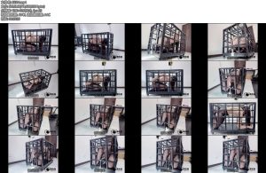 [缚心室] 双马尾女学生的兔笼体验两种姿势黑丝啵啵贝秒C神器超长时长失控模式下陷入绝望完全无法动弹羞耻绝望中大量喷尿-丝依依