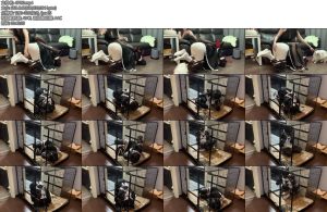 [佳禾原创] 高跟黑丝女王玩弄白丝女仆装k9狗奴sp棒棒榨干挠脚心感官剥夺狗笼子放置-丝依依