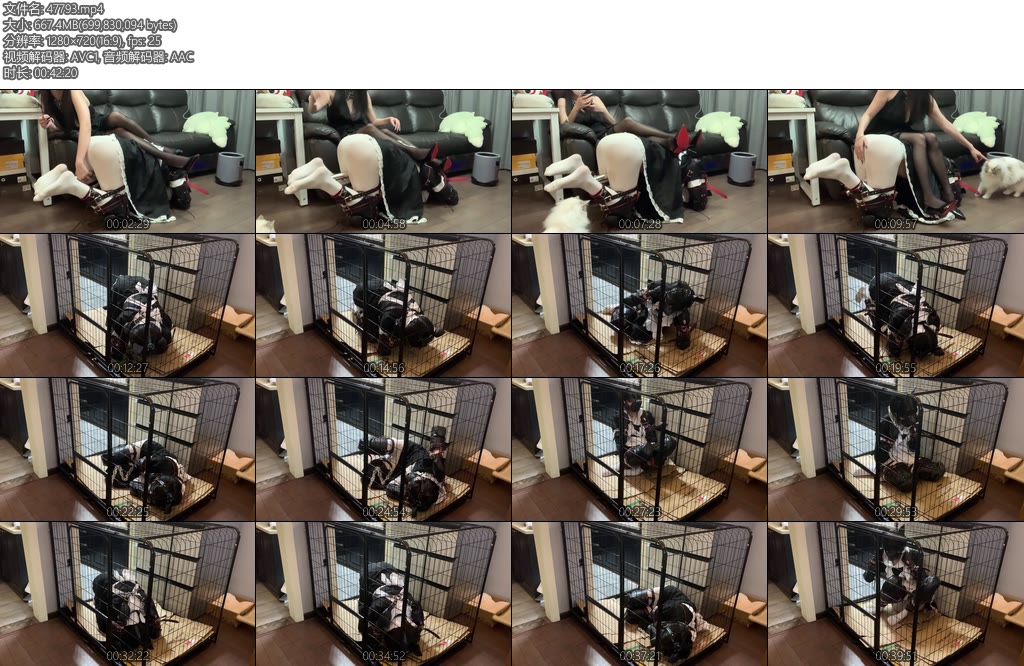 [佳禾原创] 高跟黑丝女王玩弄白丝女仆装k9狗奴sp棒棒榨干挠脚心感官剥夺狗笼子放置-丝依依