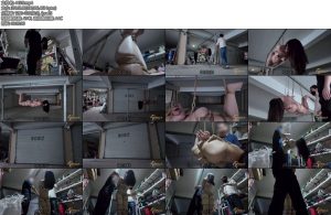 [半岛束艺] 矢崎约拍纪实行走的驷马-丝依依