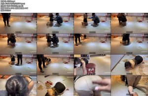 [龙飞原创] 狗奴回家-丝依依