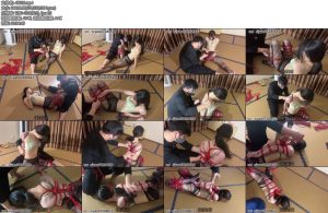 [山鬼原创] 语柔与绳师调情内衣捆绑勾人渔网袜青蛙趴驷马玩弄-丝依依