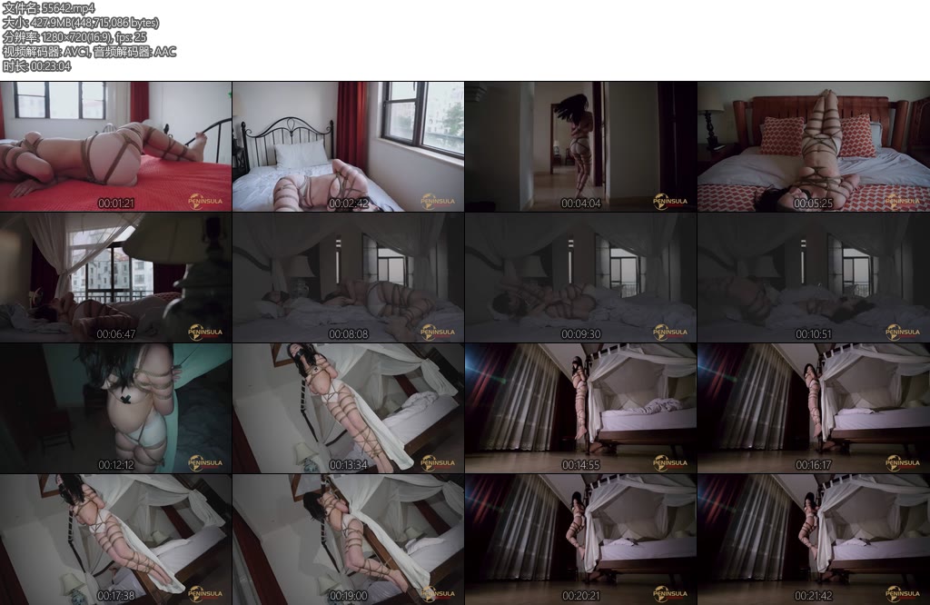 [半岛束艺] 椰子你到底有多少床-丝依依