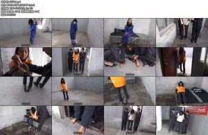 [梨花雨] 独留靑冢向黄昏-丝依依