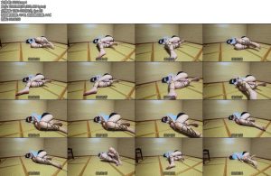 [渎竺原创] 前有花臂后有花腿上-丝依依