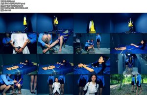 [胜景影视] 韩国罪史隐藏的秘密下集-丝依依