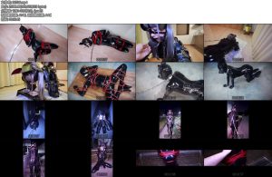 [D-Lemon] 乳胶母犬更新从白天玩到天黑，外出遛狗真刺激，久违露了脸 真的可爱，神情也很丰富-丝依依