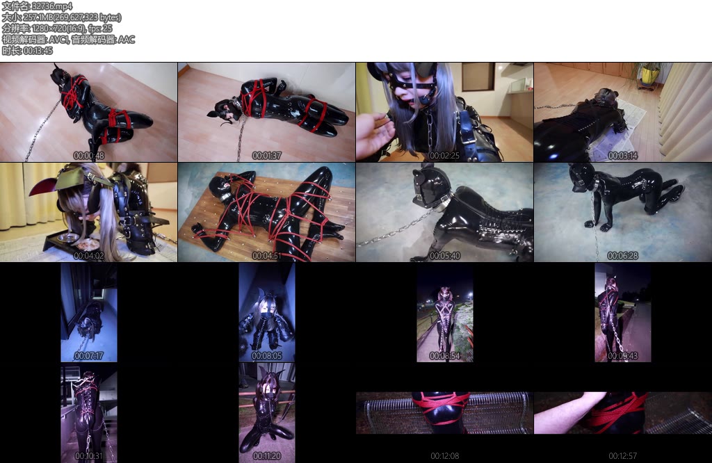 [D-Lemon] 乳胶母犬更新从白天玩到天黑，外出遛狗真刺激，久违露了脸 真的可爱，神情也很丰富-丝依依