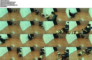 [亚洲绳艺] 馬車うまトレーニング簡易ポニープレイ-丝依依