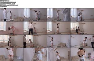 [Raymond] 少妇护士的特殊岗位第三集取悦与强制上精彩剧情-丝依依