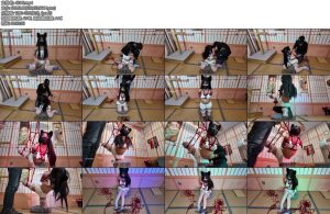 [一绳所爱] 颜颜到店初体验-丝依依