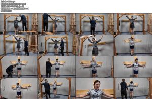 [李大侠] 佳佳受刑上-丝依依