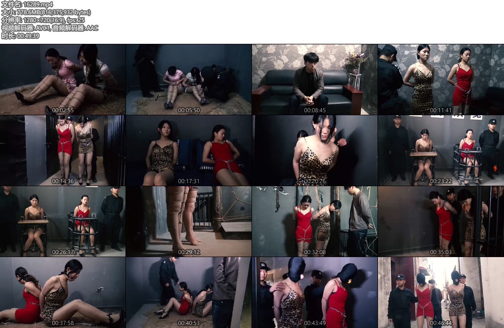 [胜景影视] 卧底的遭遇（第五集）-丝依依