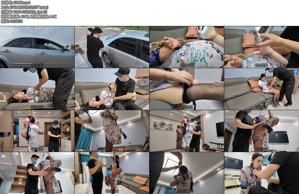 [李大侠] 被驯服的空姐之十一-丝依依