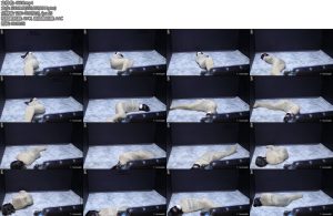 [娜绳原创] 青柠157下NSGZS157下-丝依依