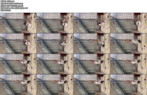 [媚娘原创] 如果是你你会怎么玩耍第二部-丝依依