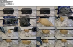 [亚洲绳艺] 少妇醒来发现自己被塞进皮箱还被套在黑色套袋里等她挣脱出来又被套了层麻袋无奈向哥哥求饶-丝依依