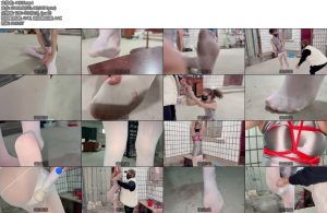 [媚娘原创] 被凌辱的舞蹈生-丝依依