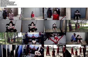 [胜景影视] 苏丹娘冤案 杜之秩知唐通外出乘机调戏苏丹娘。地保见状错疑二人有染-丝依依