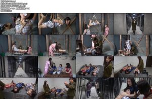 [MJ影视] 民国大剧谍中谍（下）-丝依依