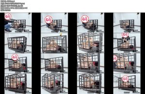 [冥想原创] 落叶兔笼体验访谈篇-丝依依