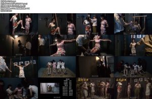 [胜景影视] 女子特工队（第三集）下-丝依依