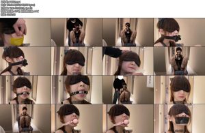 [年华原创] 小骨头多种口球口塞堵嘴流口水-丝依依