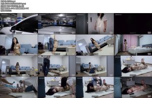 [半岛束艺] 夜袭宝马姐-丝依依