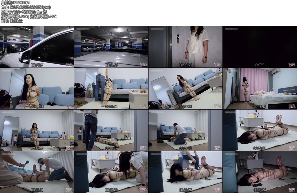 [半岛束艺] 夜袭宝马姐-丝依依