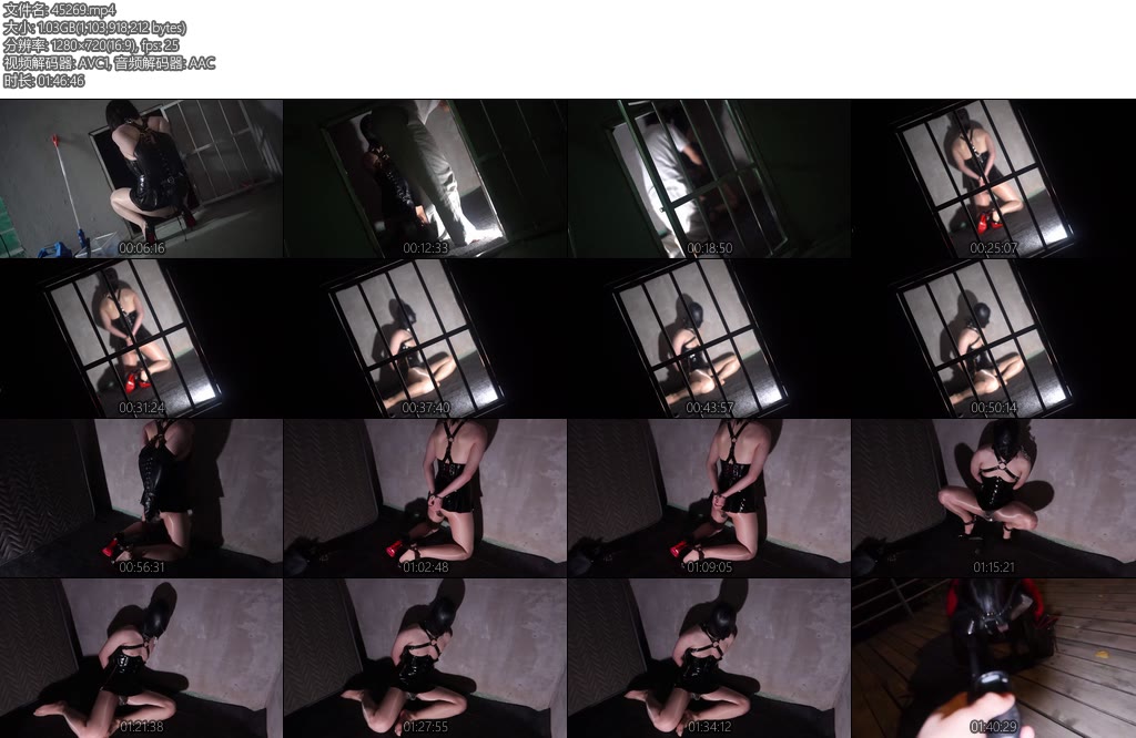 [面具原创] 面具男 野外胶衣电击项圈训狗在关禁闭一天后狗狗已经带锁10天了不可能擅自发泄为了能释放自己获取钥匙只能完成我给他的任务在公园被遛狗-丝依依