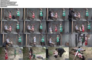 [MJ影视] 女烈三凤 大凤梅子、二凤小慧、三凤情倩被特务老虎凳鞭打等酷刑下场如何？-丝依依