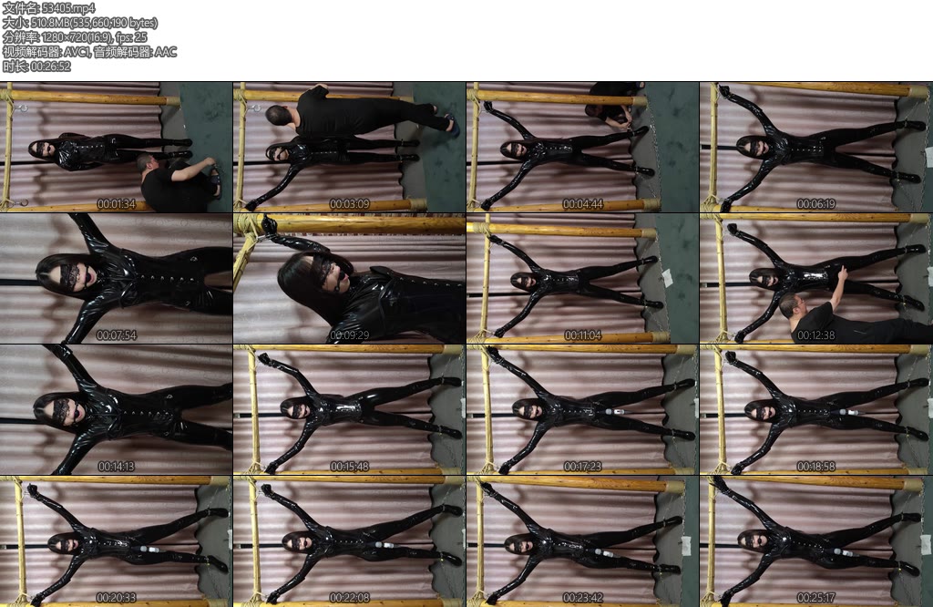 [束缘阁] 杨蕊残酷折磨胶衣搜查官-丝依依