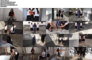 [梨花雨] 误入歧途-丝依依