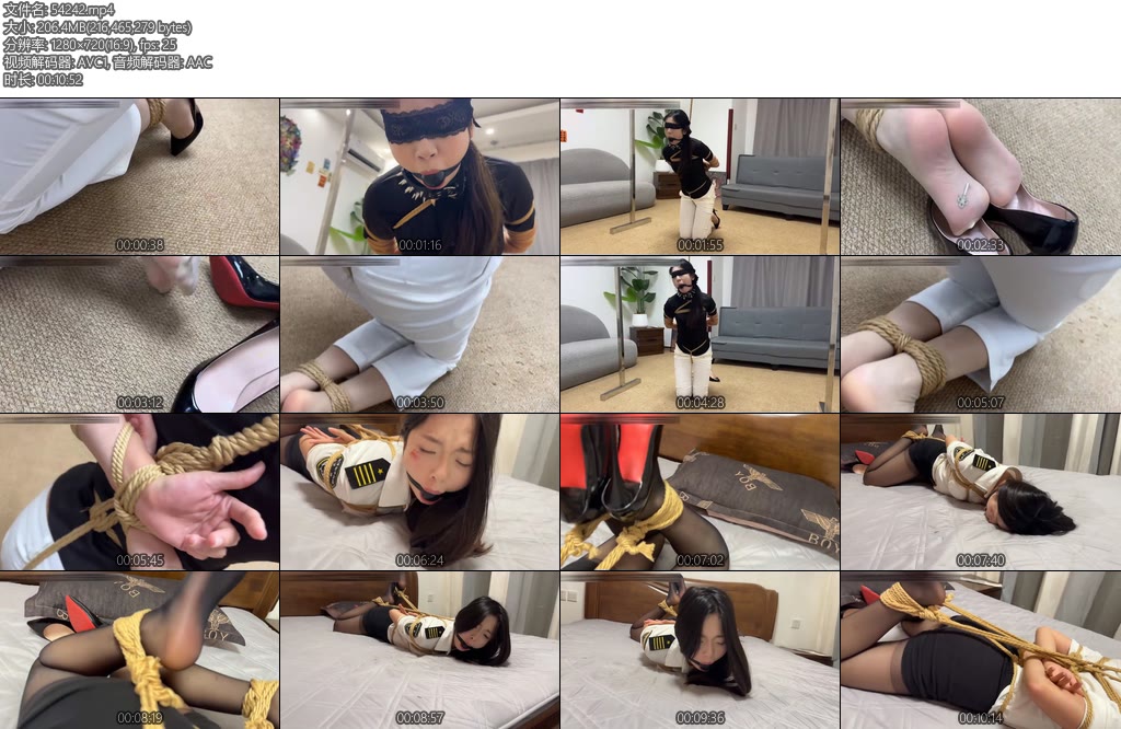 [金宝原创] 女搜查官劫难-丝依依