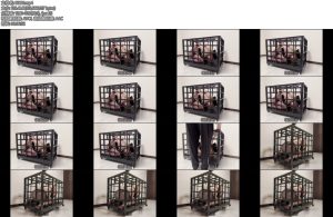 [缚心室] House of Gord兔笼复刻小番外欢迎俄罗斯友人入住笼子极限固定口球堵嘴全程用蹩脚的中文交流-丝依依