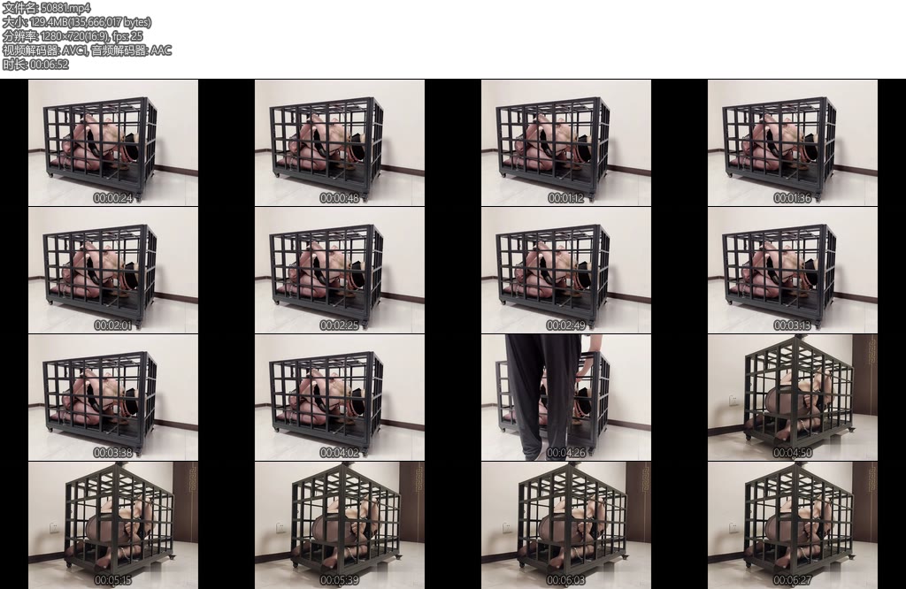 [缚心室] House of Gord兔笼复刻小番外欢迎俄罗斯友人入住笼子极限固定口球堵嘴全程用蹩脚的中文交流-丝依依