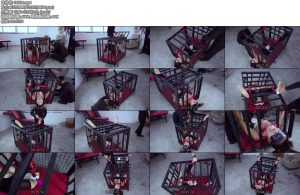 [樱束原创] 莉莉的训奴计划第十天-丝依依