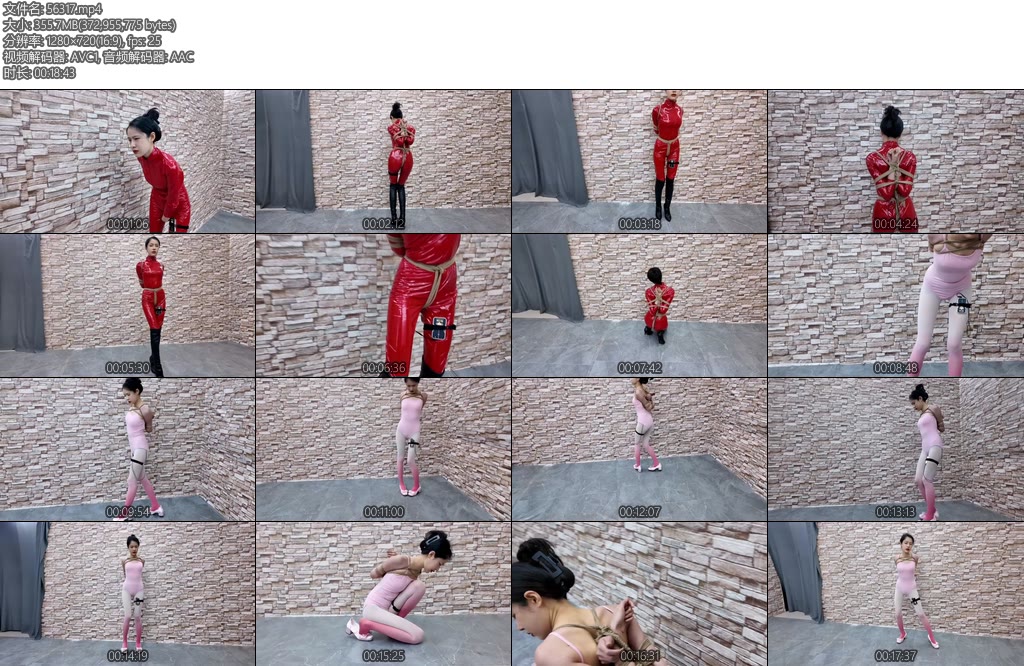 [飞天原创] 艺仙儿电击跳舞受郊狼肛塞电击的影响想跳都跳不好-丝依依