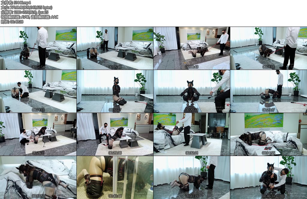 [Raymond] 微剧情宠物托管员的奇遇第一集人形犬遛狗TK犬立SP打脚心排尿棒棒-丝依依