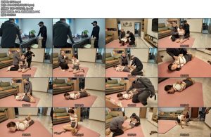 [李大侠] 讨薪记上-丝依依