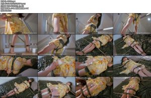 [丝米原创] 折磨合租女室友Ⅱ性感女室友脾气大勒上羞耻带好好教育一字固定在床上硬棒牢牢顶在双腿间-丝依依