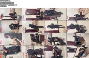 [媚娘原创] 姐姐受难记（2）-丝依依