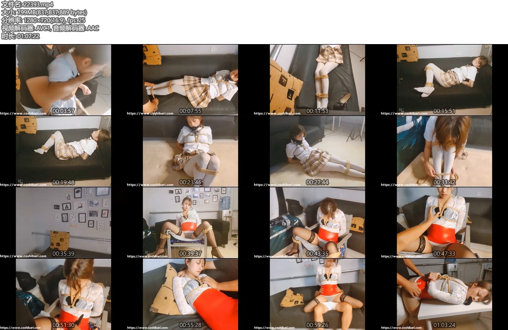 [绳次元] 致命的面试（上-下合并版）-丝依依